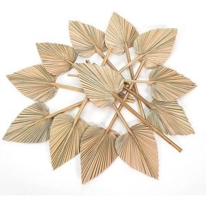 Dried Palm Leaves Pack of 5 Heart Oval Shape Dried Palm Spears